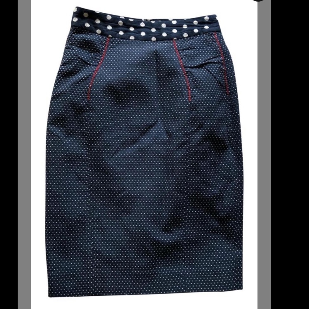 Anthropologie Baraschi Polka Dot Skirt Sz 4